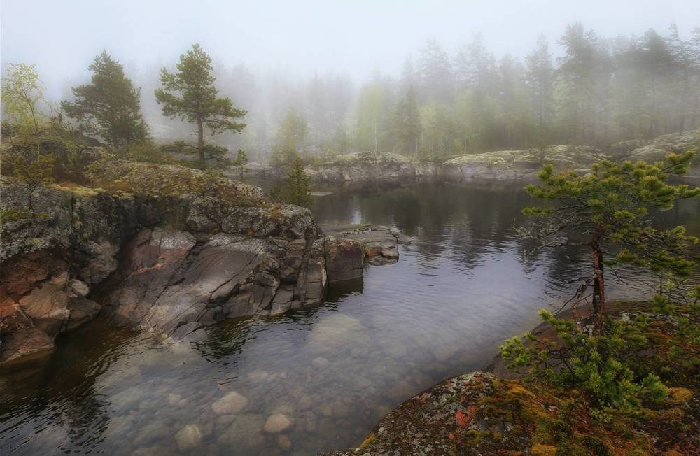 Ладожские туманы