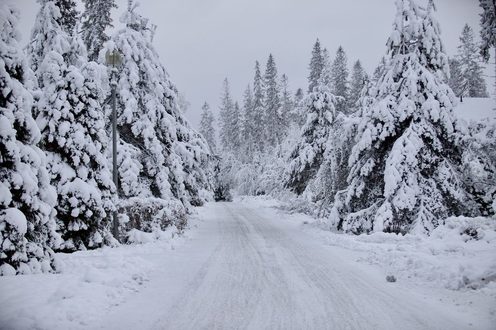 Photograph by Елена Ковалева