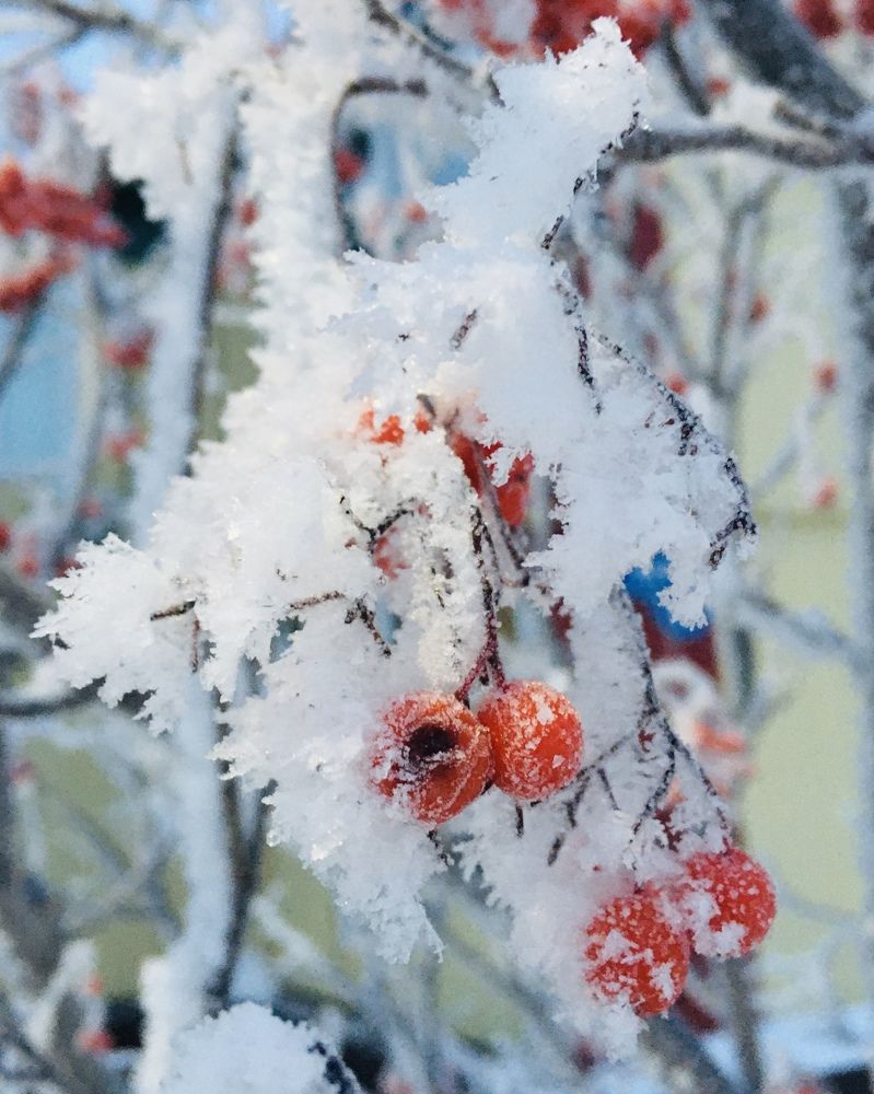 Photograph by Ирина Трембач