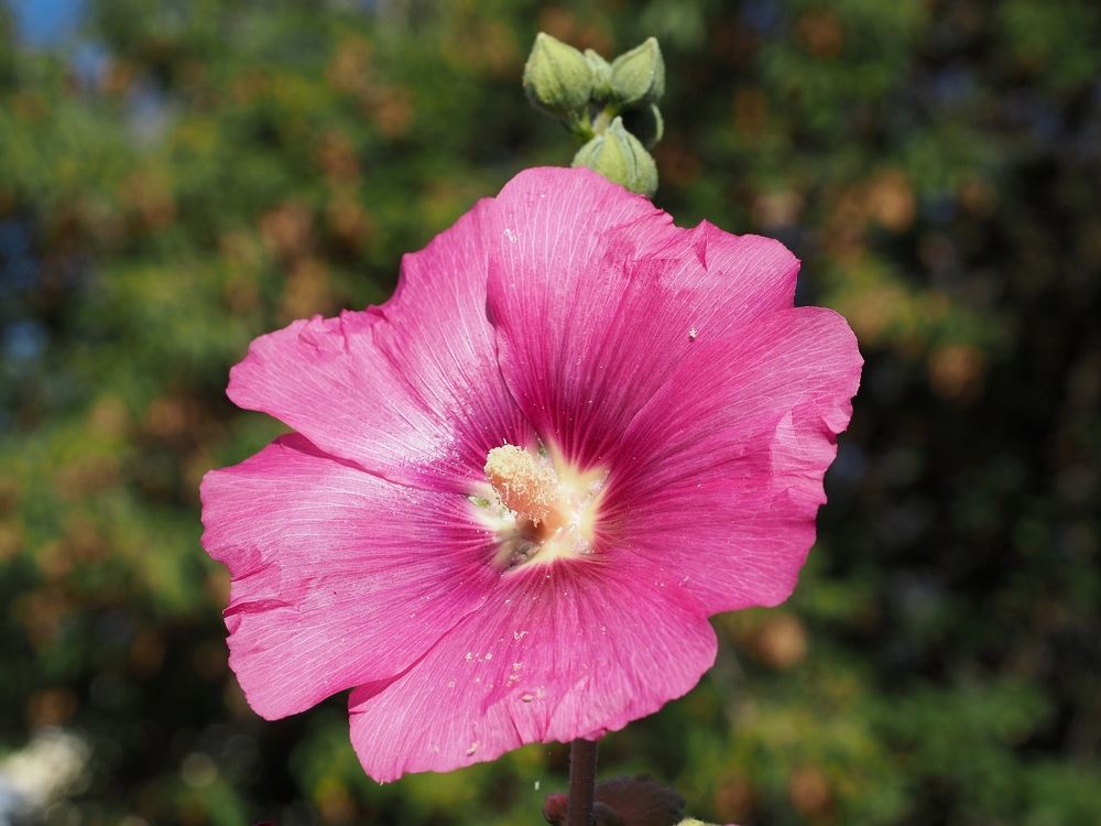 Photograph by Андрей Анатольевич