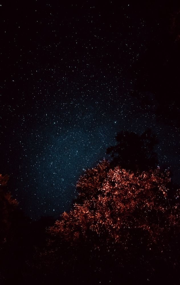 Photograph by Катерина Магало