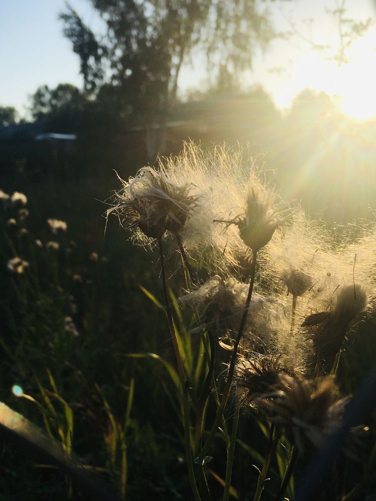 Photograph by Ирина Трембач