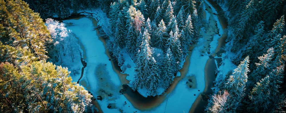 Photograph by Andrey Purtov