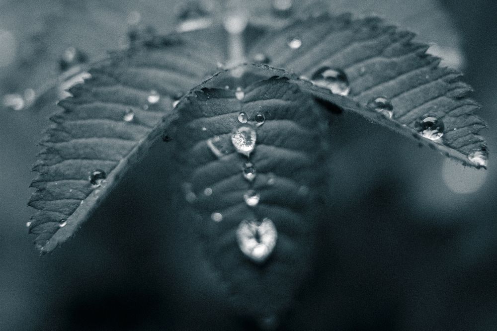 Photograph by Артур