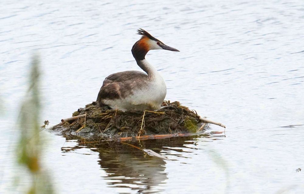 Фотография автора Валерия Шевченко