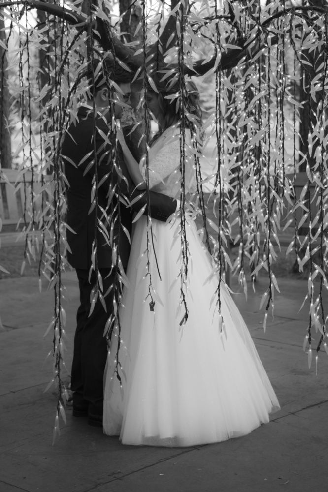 Photograph by Julia Celminska