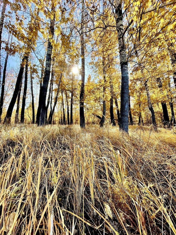 Photograph by Светлана Петренко