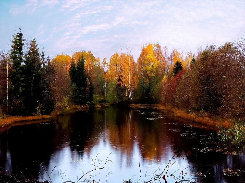 On the border of autumn