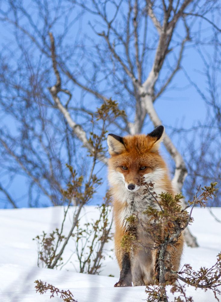 Photograph by Татьяна Раковская