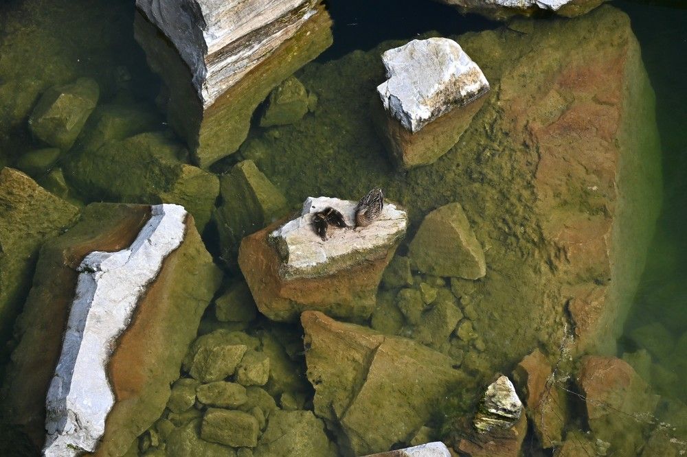 Фотография автора IRINA FILIPPOVA