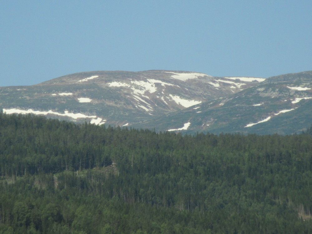 Photograph by Anna Baykova