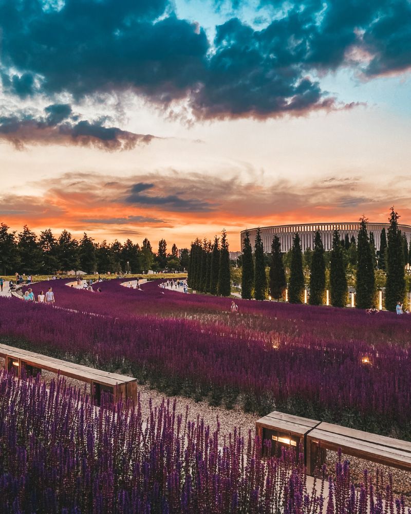 Photograph by Oksana lukyanova