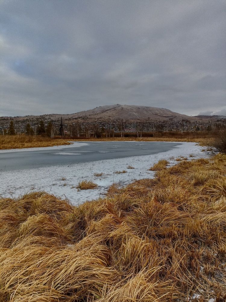 Photograph by Елена Кузнецова