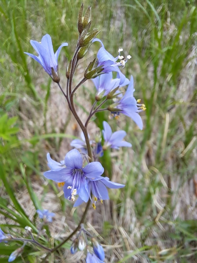 Photograph by Любовь Войтишина