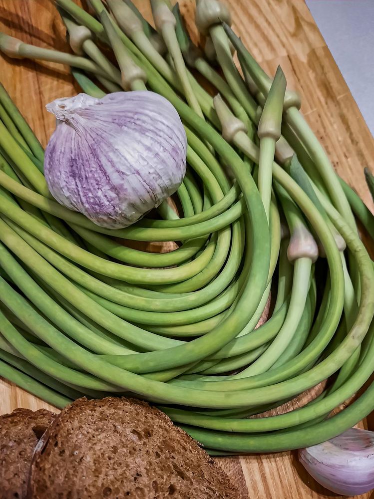 Photograph by Любовь Войтишина