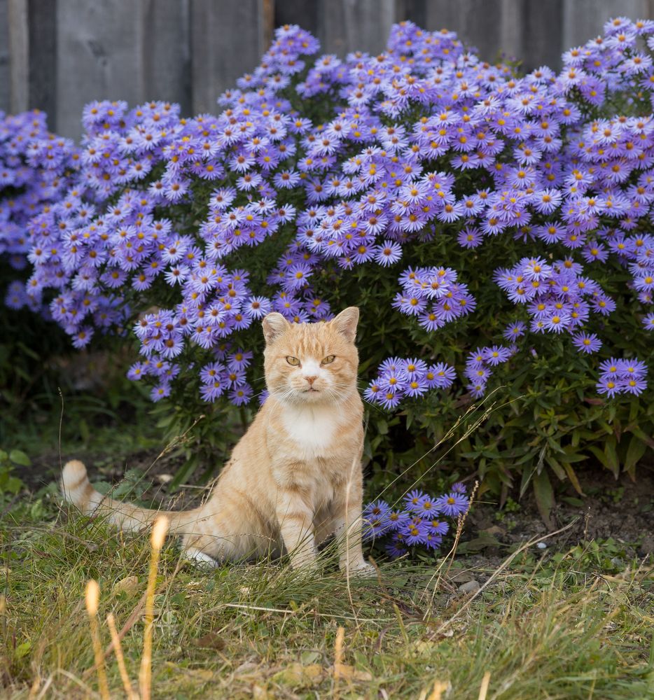 Photograph by Оксана Макрушина