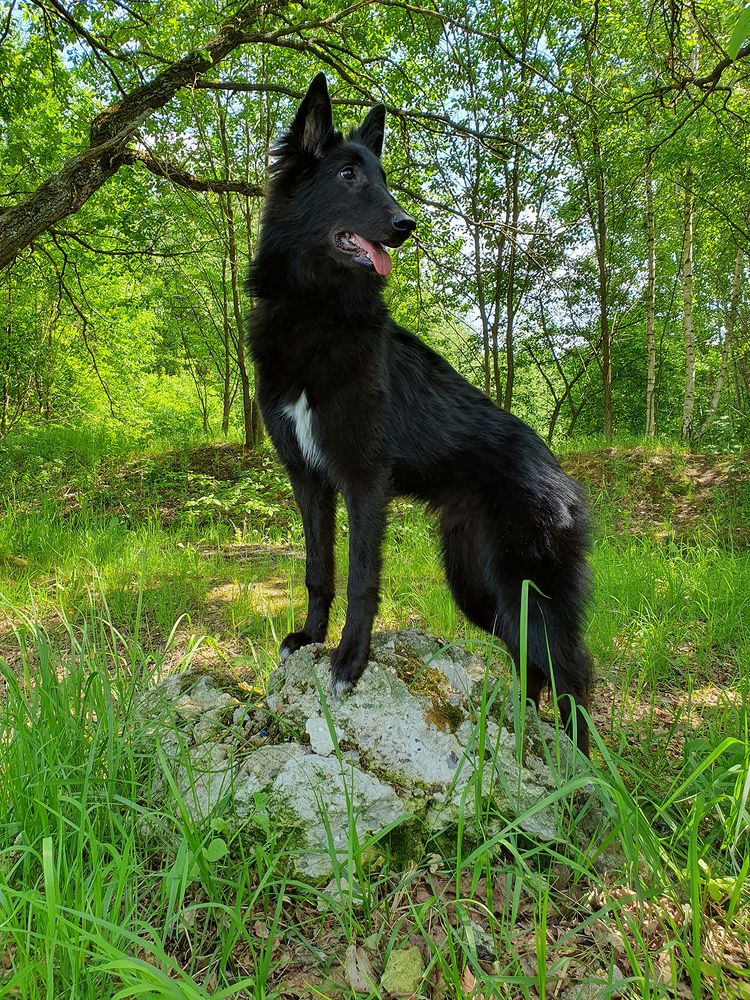 Фотография автора Надежда Лисицына
