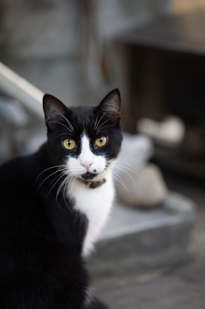 Photograph by Оксана Макрушина