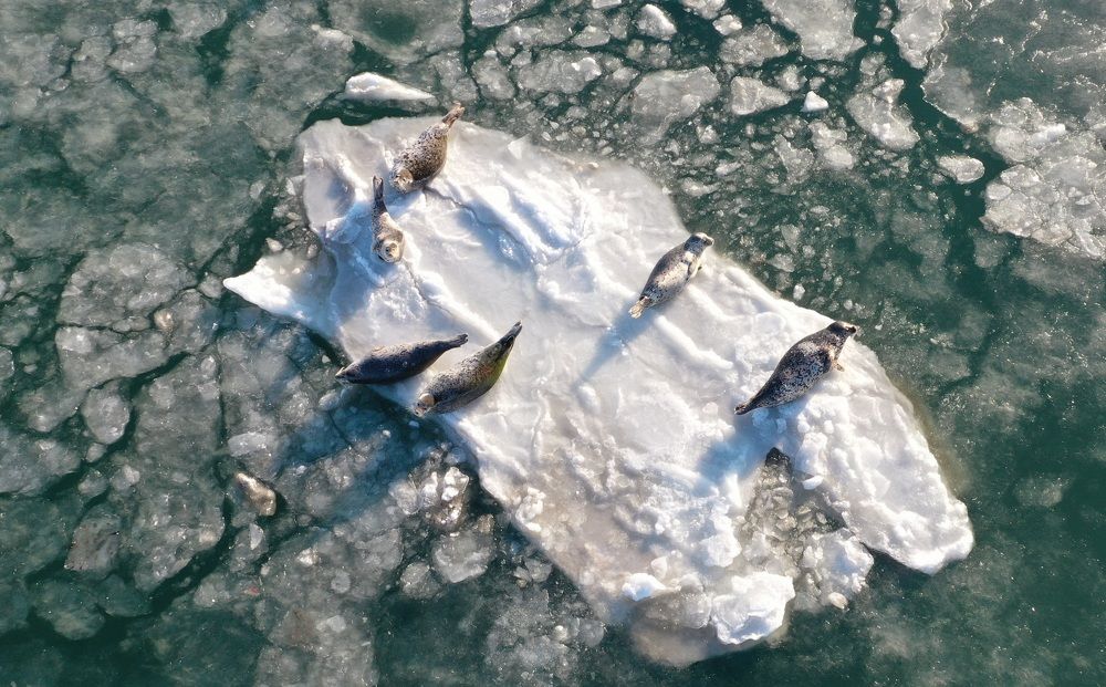 Photograph by Лариса Ким