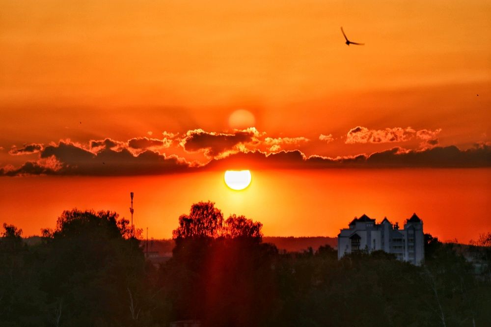 Photograph by Марина Радионова