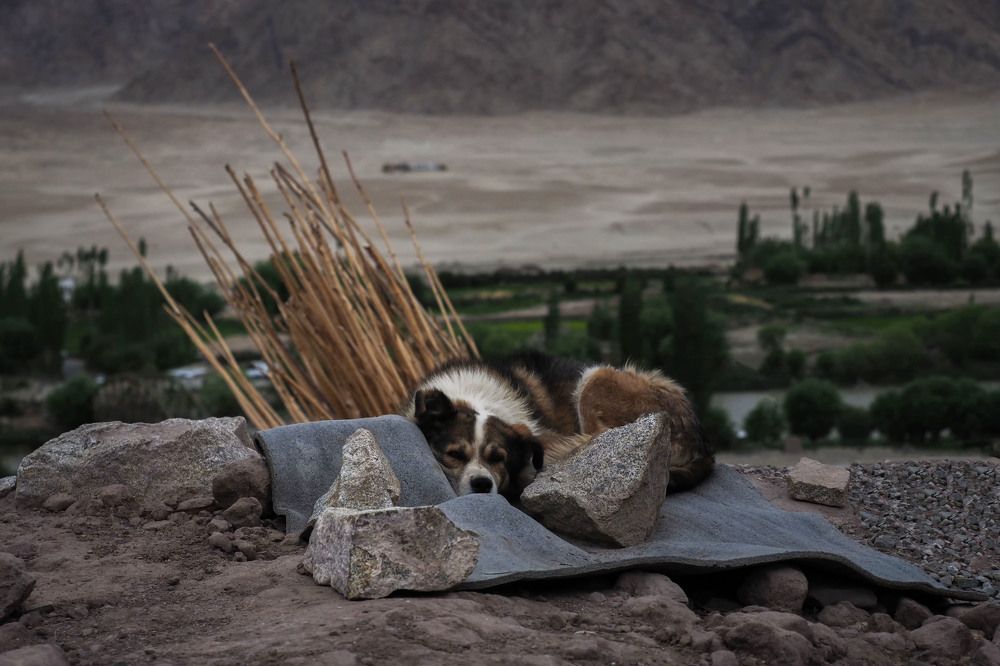 Photograph by Ольга Католичук