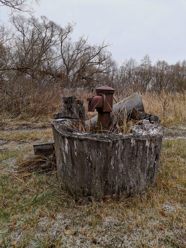 Photograph by Александр Шуршиков