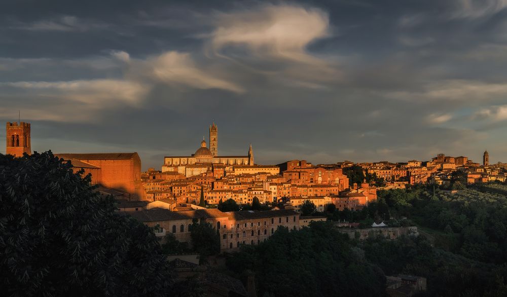 Photograph by Maddalena Elisabetta Veronesi