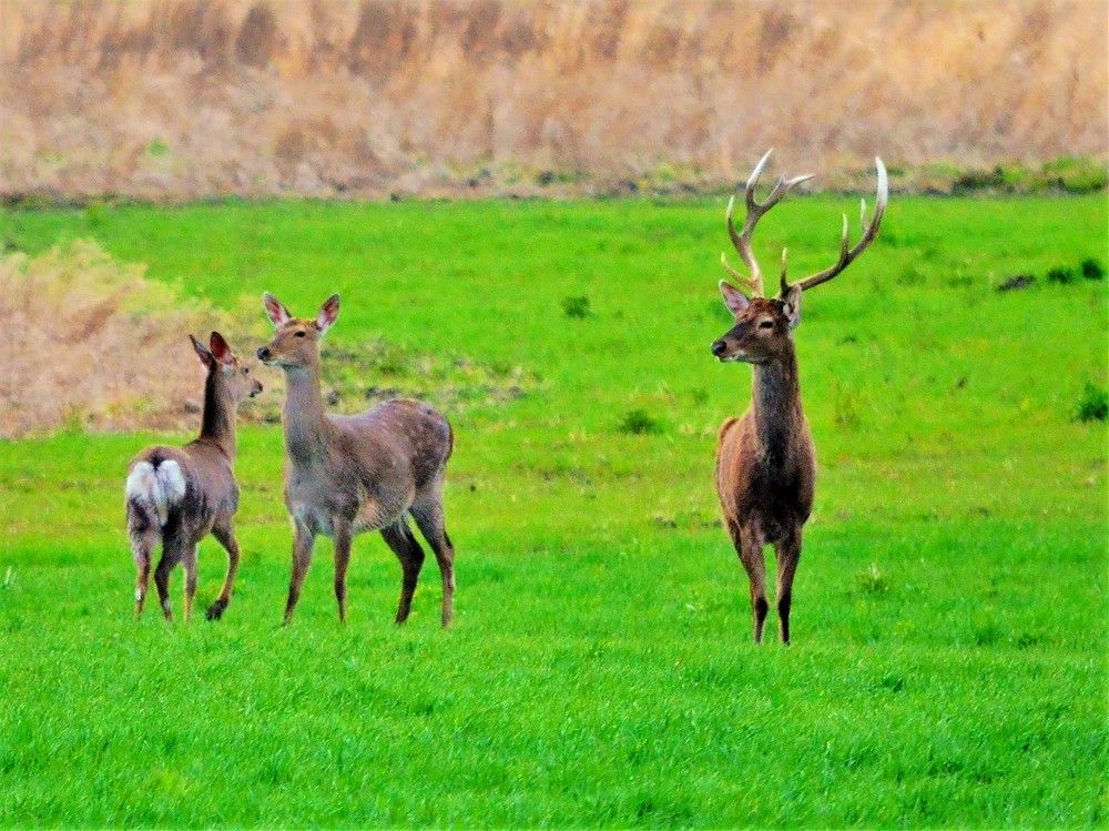 Photograph by Алексей Сиваков