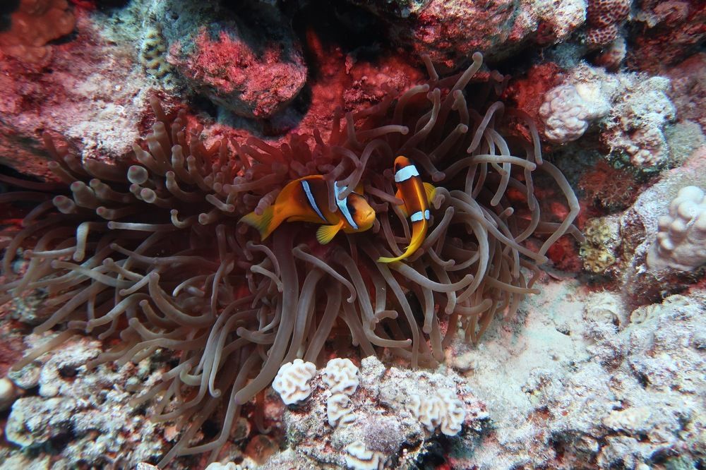 Photograph by KONSTANTINOS EFSTATHIOU