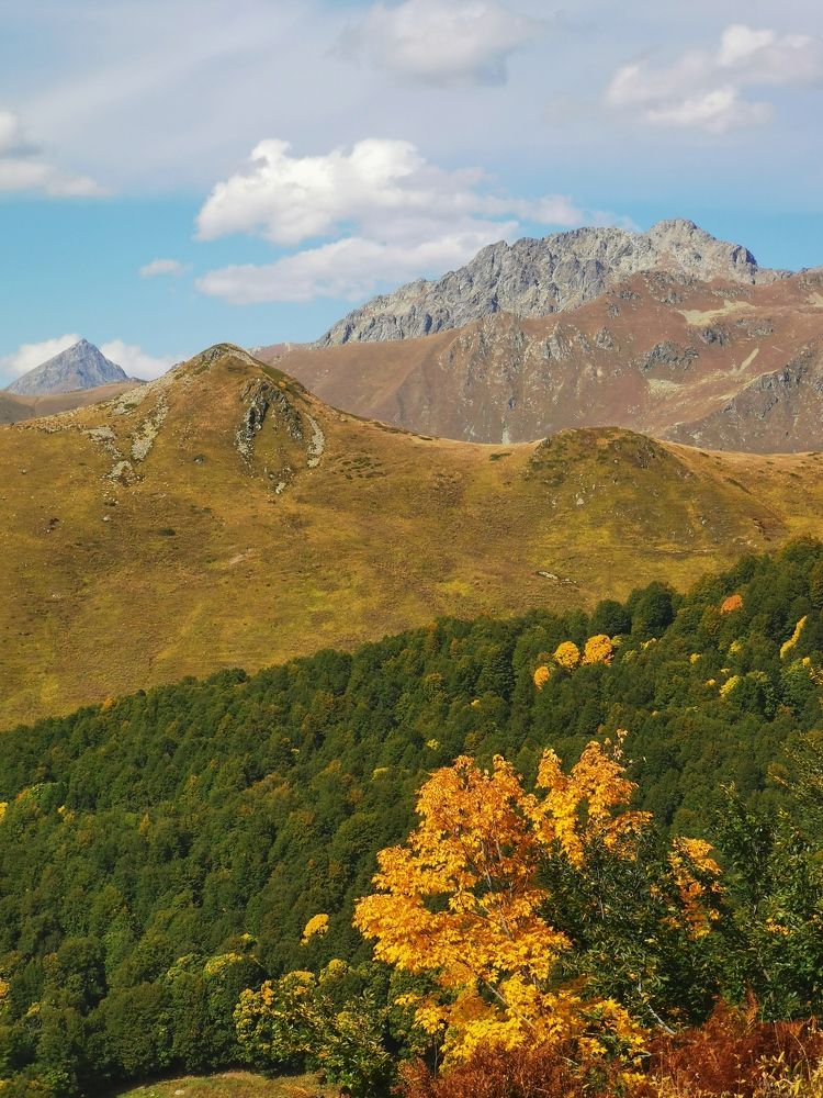 Photograph by Анастасия