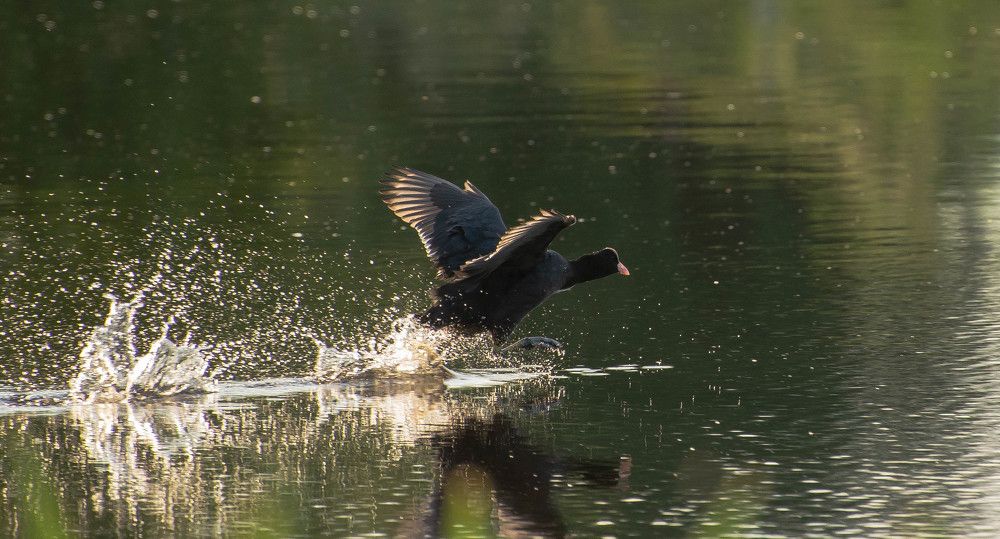 Фотография автора Aлексей Игнатьев