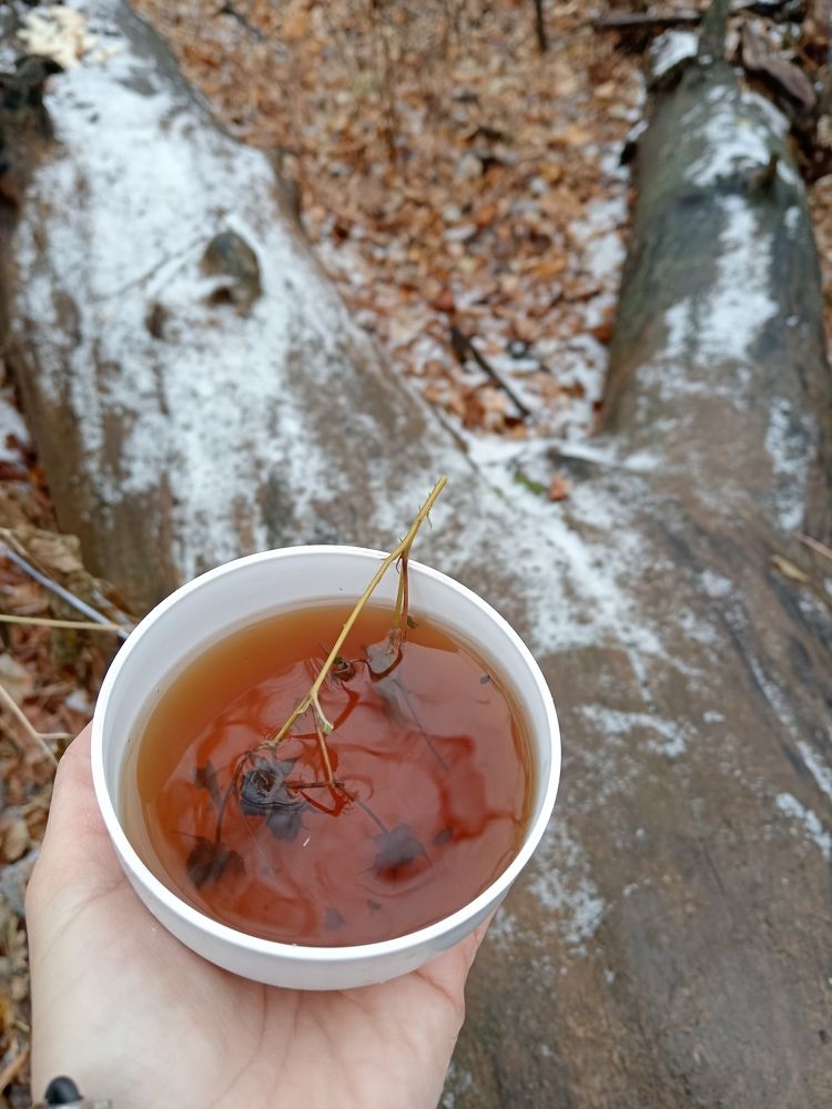 Photograph by Евгения Горячева