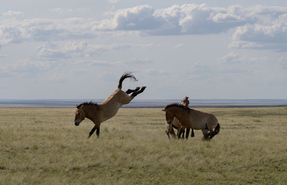 Photograph by Екатерина Рябкова
