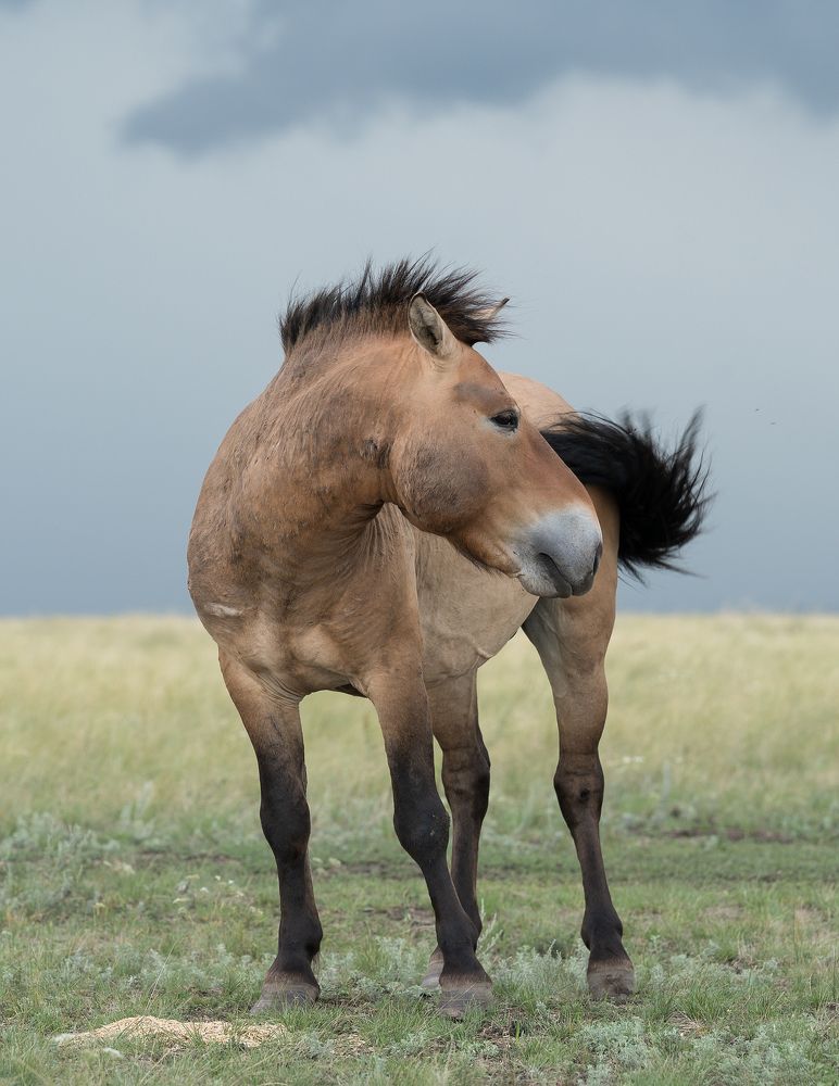 Photograph by Екатерина Рябкова