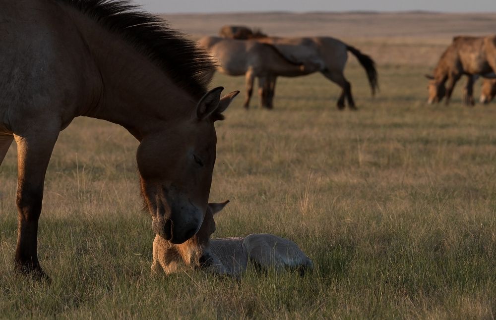 Photograph by Екатерина Рябкова