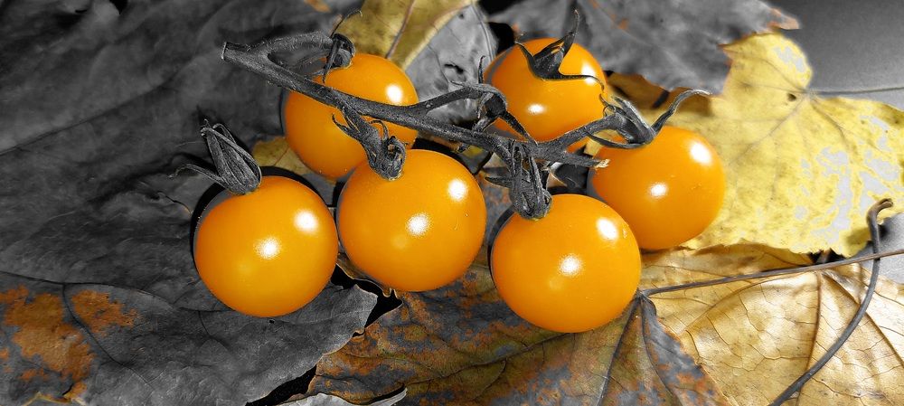 Фотография автора Можаев Сергей