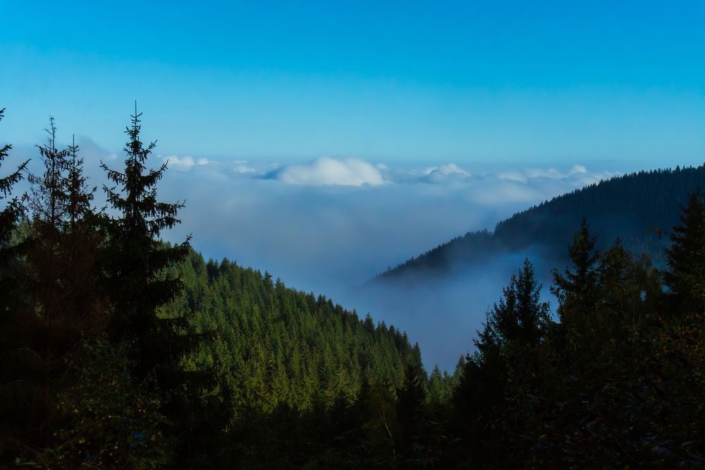 Photograph by Андрей Демянюк