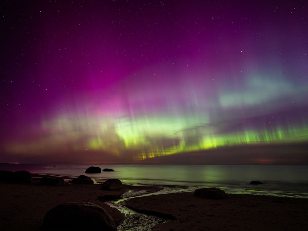 Photograph by Olga Link