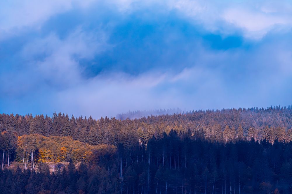 Photograph by Андрей Демянюк