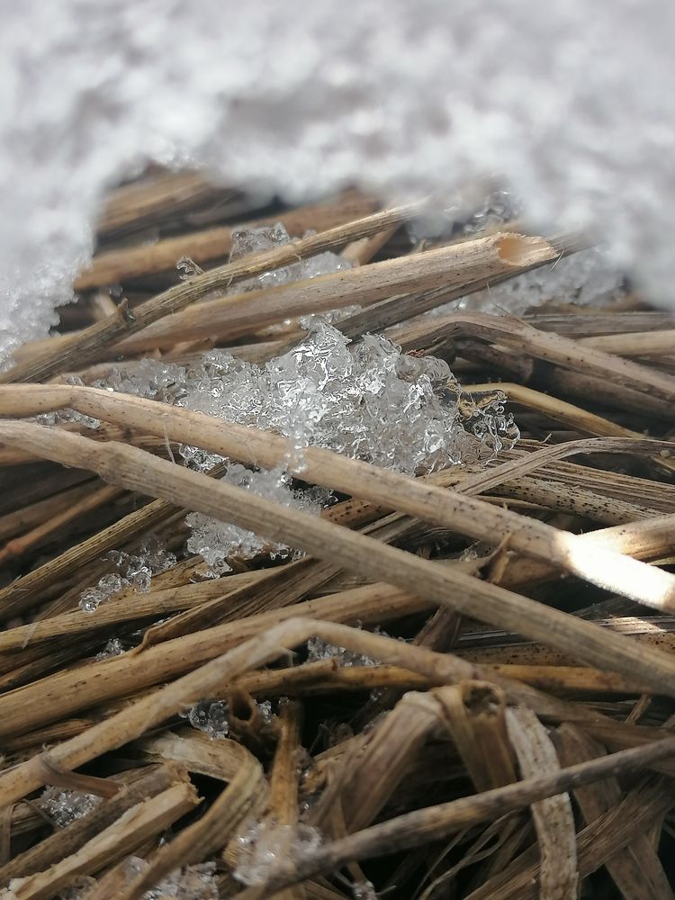 Photograph by Андрей Трякин