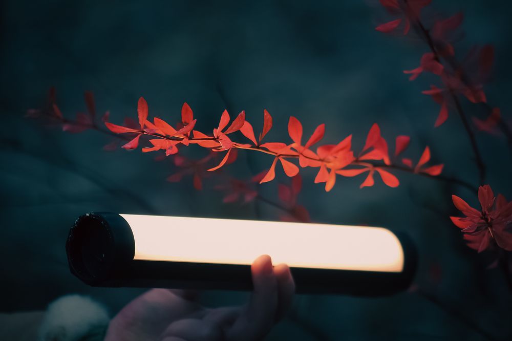 Photograph by Дмитрий Синицын