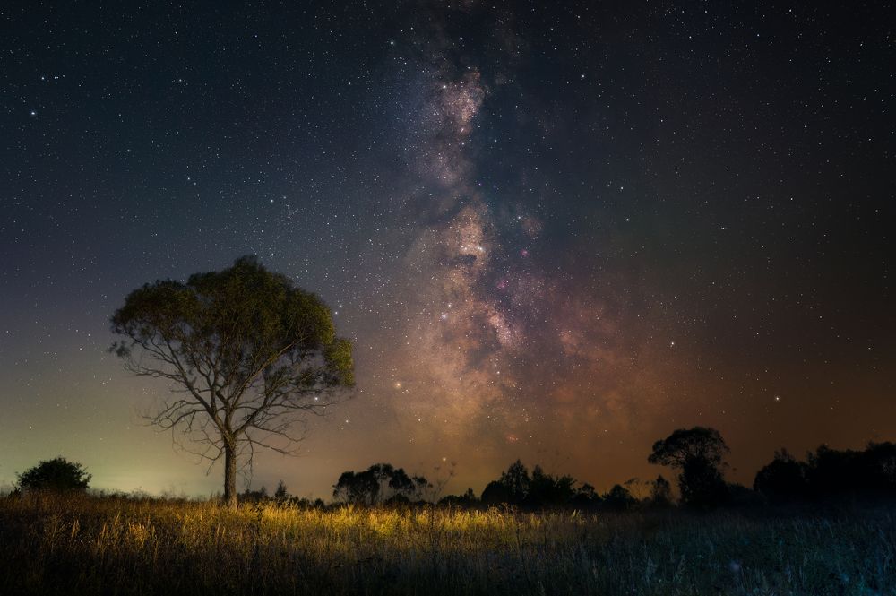 Photograph by Aleksandr Ilyin