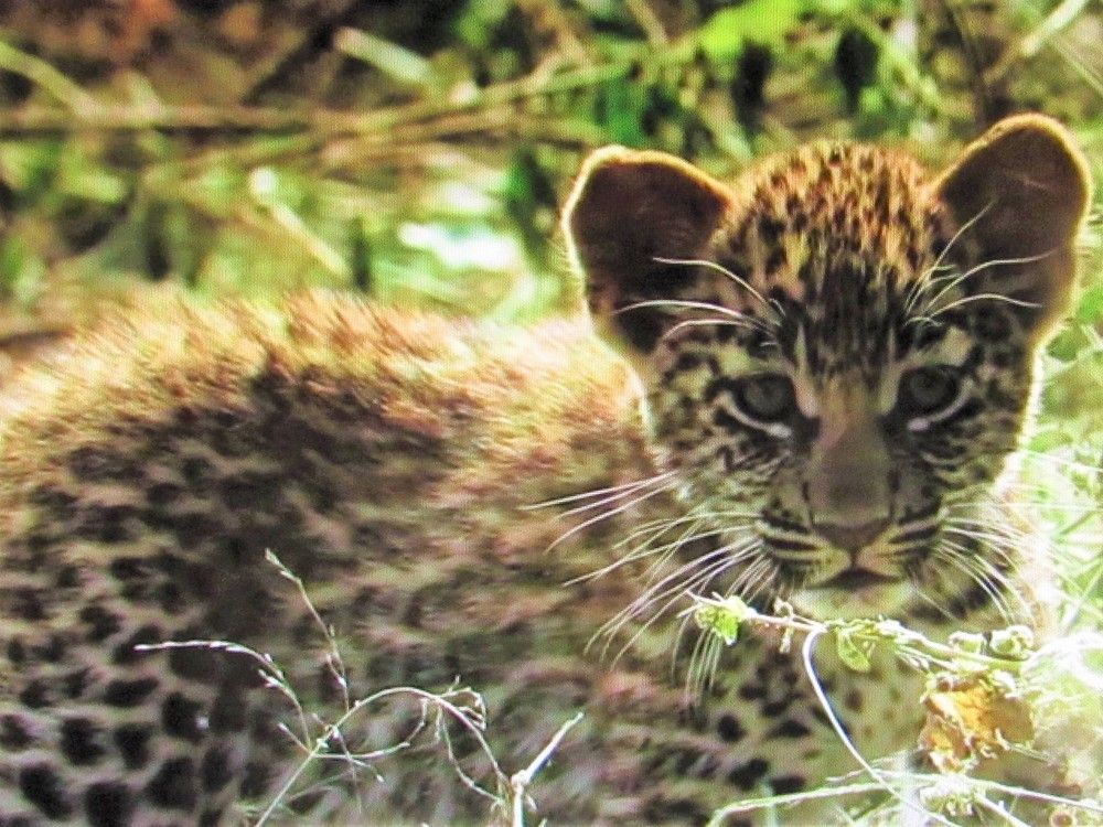 Photograph by Галина