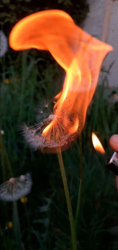 Photograph by Кристина Присяжная