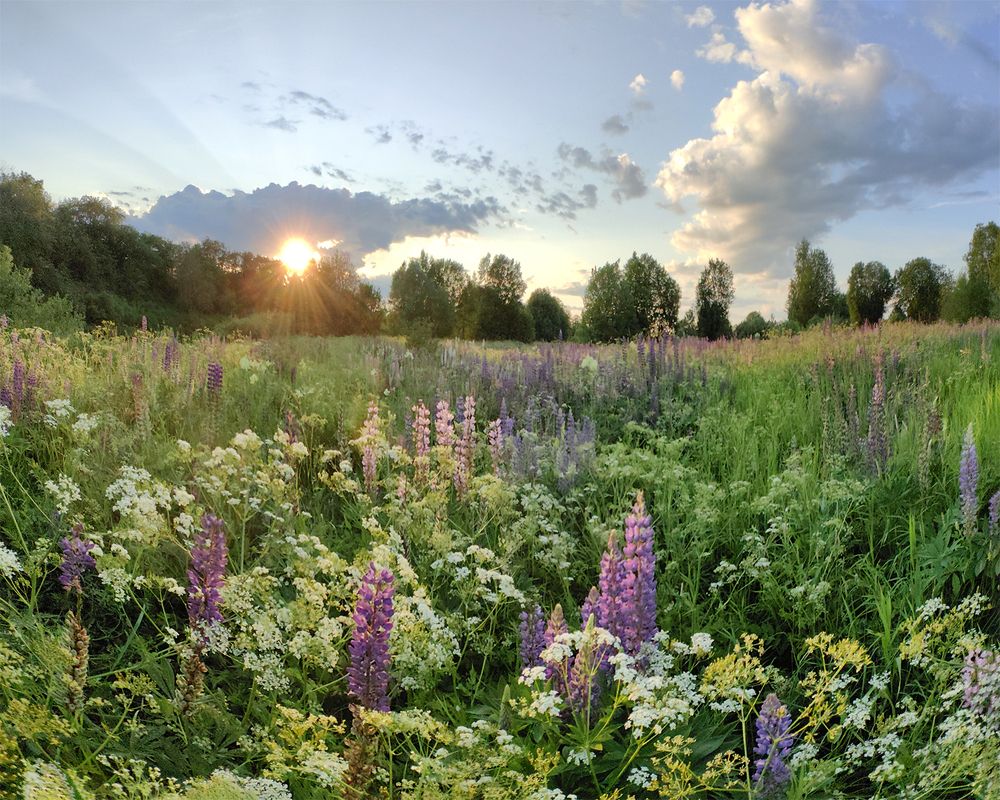 Фотография автора Логвинович Андрей
