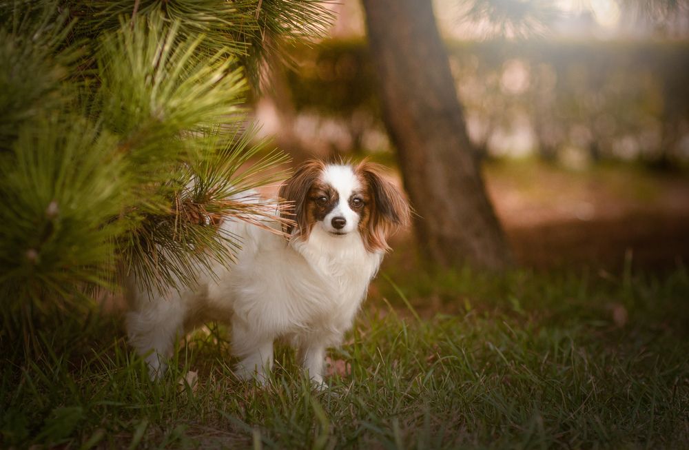 Photograph by Stacey