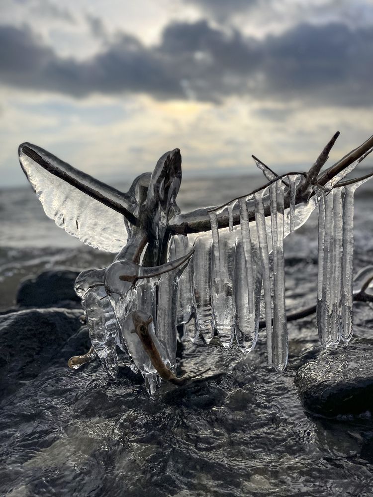 Photograph by Привалов Андрей