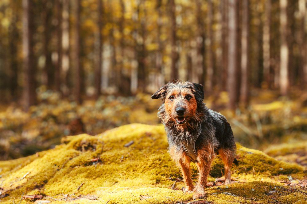 Photograph by Mariusz Kusy