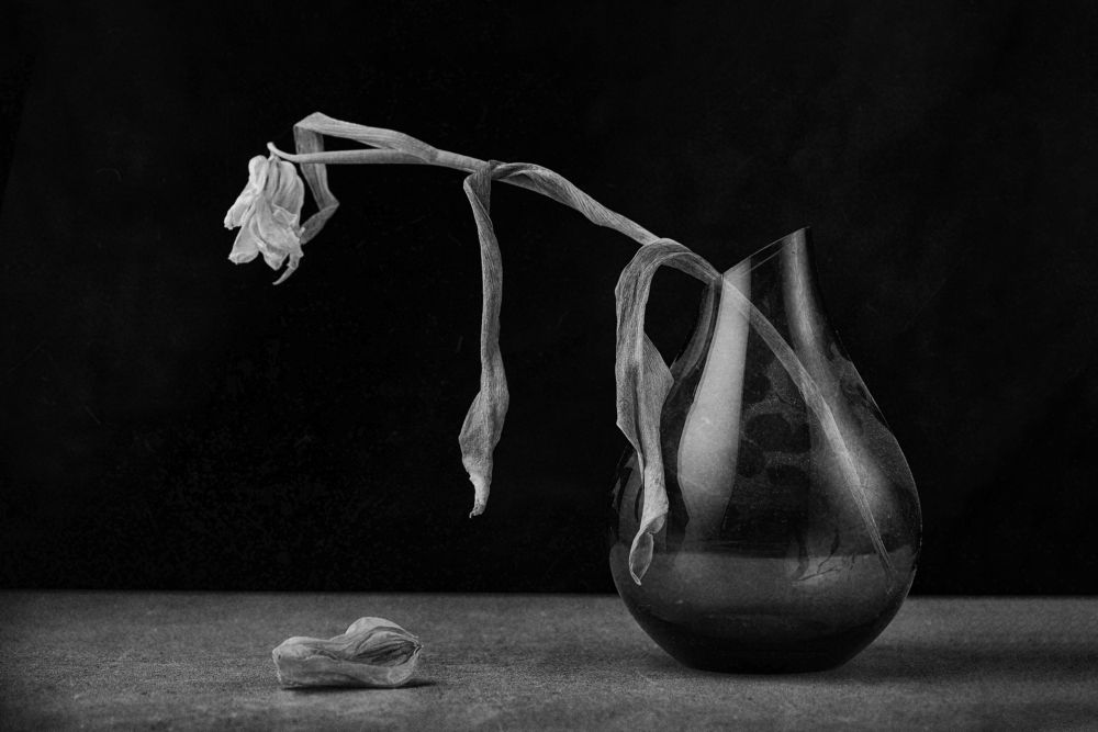 Photograph by Валерий