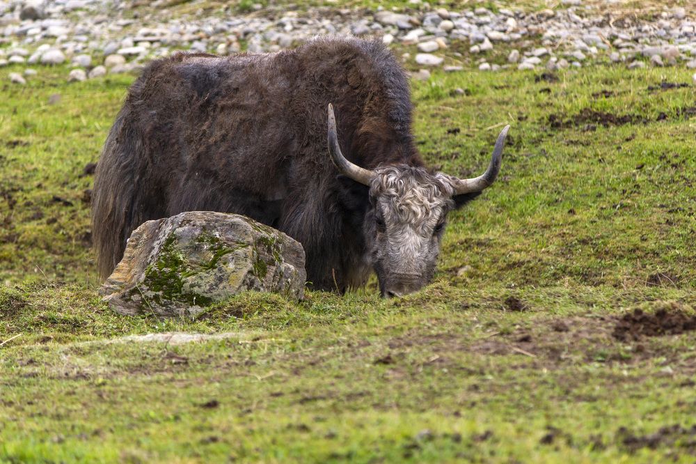 Photograph by Татьяна Раковская